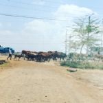 Traffic jam!
